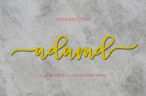 Adamm: A Handwritten Font That Elevates Your Brand’s Design
