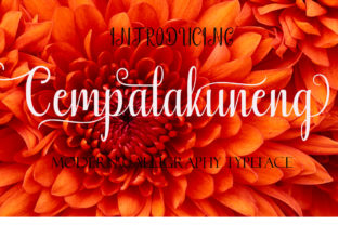 Cempalakuneng: A Modern Script Font for Powerful Brand Typography