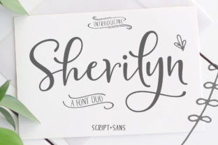 Elevate Your Brand with the Sherilyn Duo Typeface
