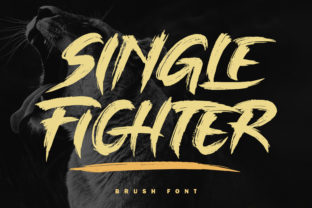 Single Fighter: A Typeface That Commands Attention