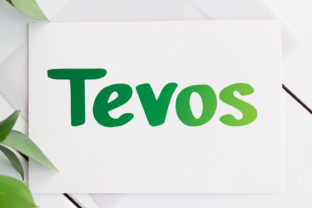 Tevos: A Designer’s Take on a Script Amp with Personality